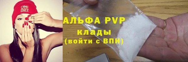 дмт Корсаков