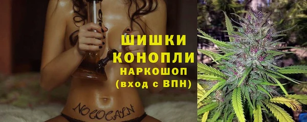 дмт Корсаков